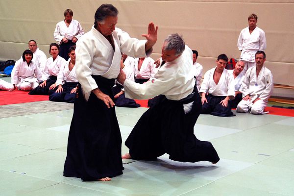 budo_aikido-2013-004