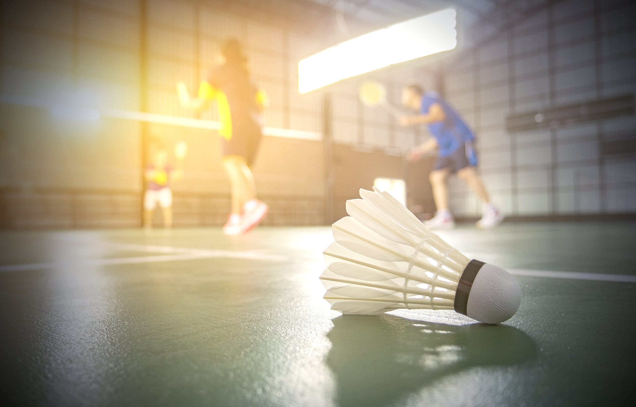 TSG Badminton Slider-Titelseite